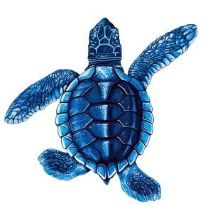 5" BLUE BABY TURTLE B (CUSTOM MOSAICS INC - PORC-ST21B-BL)
