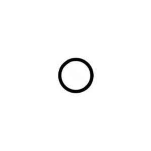 PLASTICLINE O-RING ANTHONY/COLECO (SUPER-PRO - O-282)