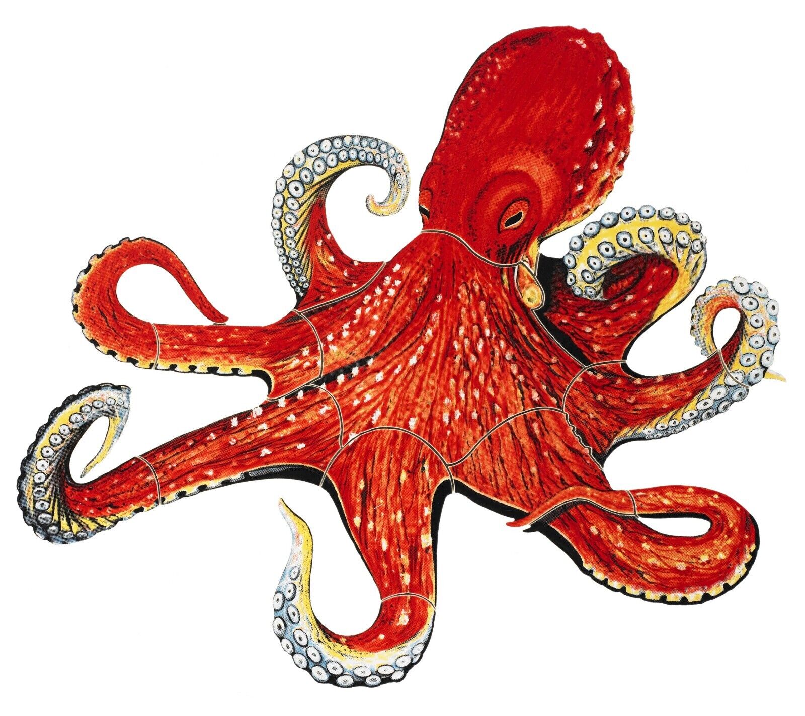 OCTOPUS 7"x6" (CUSTOM MOSAICS INC - PORC-OP16-7)