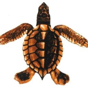 BABY TURTLE A - BROWN 5"x5" (CUSTOM MOSAICS INC - PORC-ST20A-BR)
