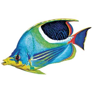 SADDLE BUTTERFLY FISH 5"x3" (CUSTOM MOSAICS INC - PORC-SF6-5)