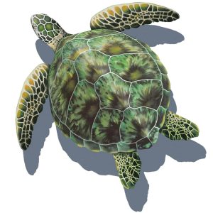 GREEN SEA TURTLE 10"x11" (CUSTOM MOSAICS INC - PORC-GT3-10)