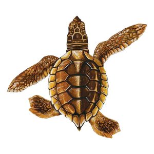 BABY TURTLE B - BROWN 5"x5" (CUSTOM MOSAICS INC - PORC-ST21B-BR)